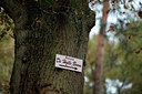 BUITEN BEELD Foto: 75476