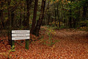 BUITEN BEELD Foto: 75484