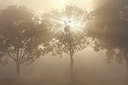 BUITEN BEELD Foto: 75602
