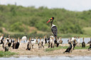 BUITEN BEELD Foto: 75689
