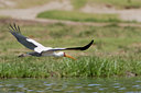 BUITEN BEELD Foto: 75690