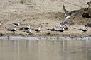 BUITEN BEELD Foto: 75702