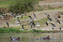 BUITEN BEELD Foto: 75703