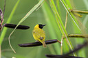 BUITEN BEELD Foto: 75713