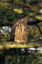 BUITEN BEELD Foto: 75867