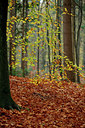 BUITEN BEELD Foto: 75943