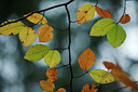 BUITEN BEELD Foto: 75950