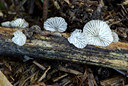 BUITEN BEELD Foto: 76020