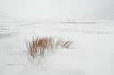 BUITEN BEELD Foto: 76057