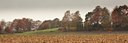 BUITEN BEELD Foto: 76068