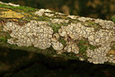 BUITEN BEELD Foto: 76094