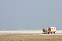 BUITEN BEELD Foto: 76096