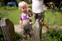 BUITEN BEELD Foto: 76108