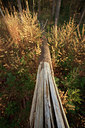 BUITEN BEELD Foto: 76165