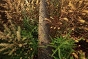 BUITEN BEELD Foto: 76167