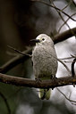 BUITEN BEELD Foto: 76181