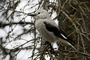 BUITEN BEELD Foto: 76184