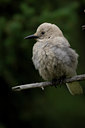 BUITEN BEELD Foto: 76186