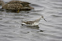 BUITEN BEELD Foto: 76189