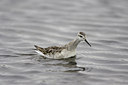 BUITEN BEELD Foto: 76198