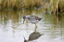 BUITEN BEELD Foto: 76202