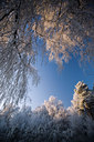 BUITEN BEELD Foto: 76219