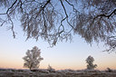 BUITEN BEELD Foto: 76221