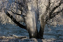 BUITEN BEELD Foto: 76223