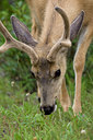 BUITEN BEELD Foto: 76247