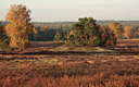BUITEN BEELD Foto: 76358