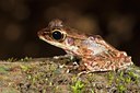 BUITEN BEELD Foto: 76372