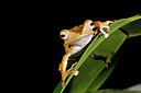 BUITEN BEELD Foto: 76387