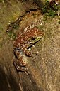 BUITEN BEELD Foto: 76407
