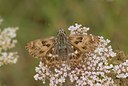 BUITEN BEELD Foto: 76547
