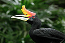 BUITEN BEELD Foto: 76550