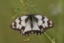 BUITEN BEELD Foto: 76580