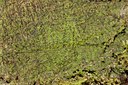 BUITEN BEELD Foto: 76604