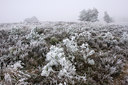 BUITEN BEELD Foto: 76693