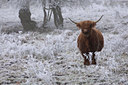 BUITEN BEELD Foto: 76694