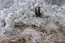 BUITEN BEELD Foto: 76698