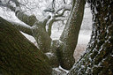 BUITEN BEELD Foto: 76702