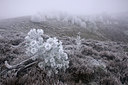 BUITEN BEELD Foto: 76706