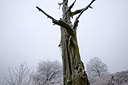 BUITEN BEELD Foto: 76707