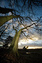 BUITEN BEELD Foto: 76740
