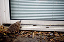 BUITEN BEELD Foto: 76759