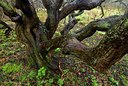 BUITEN BEELD Foto: 76775