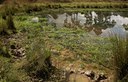 BUITEN BEELD Foto: 76873