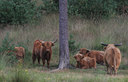 BUITEN BEELD Foto: 76883