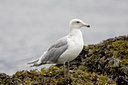 BUITEN BEELD Foto: 76973