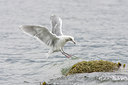 BUITEN BEELD Foto: 76976